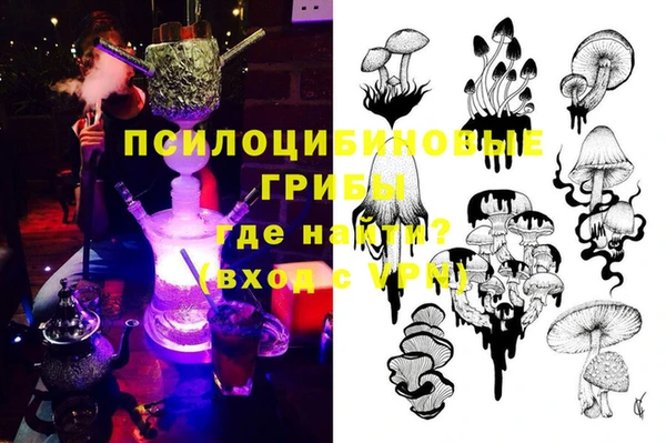 МДПВ Алексеевка